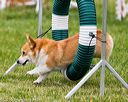 20160515-neat-0998