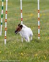 20160515-neat-0958
