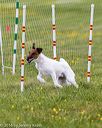 20160515-neat-0959