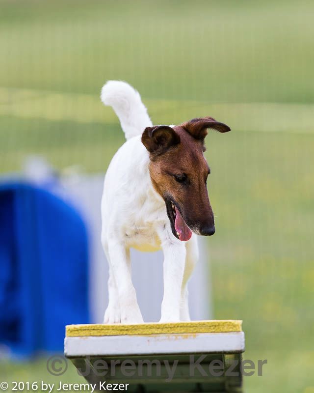 20160515-neat-0966.jpg