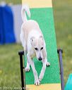 20160515-neat-0926