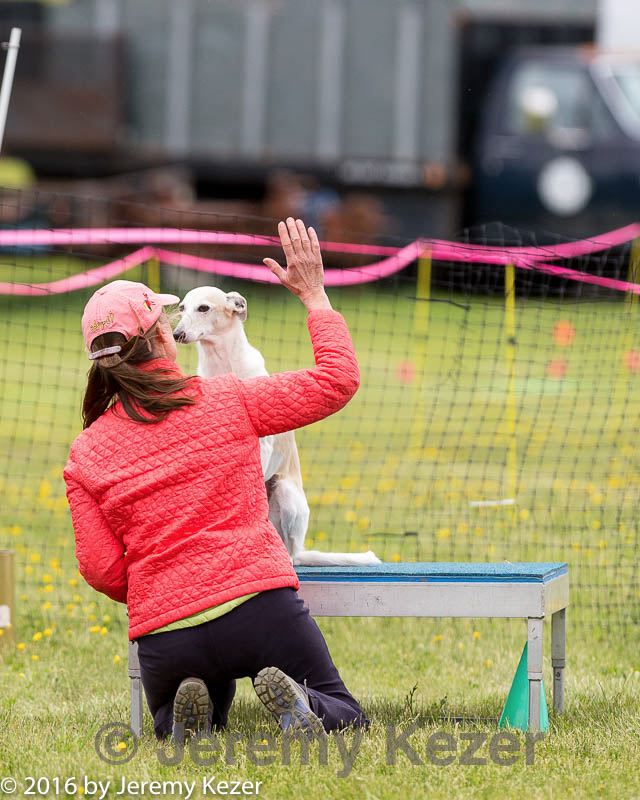 20160515-neat-0910.jpg