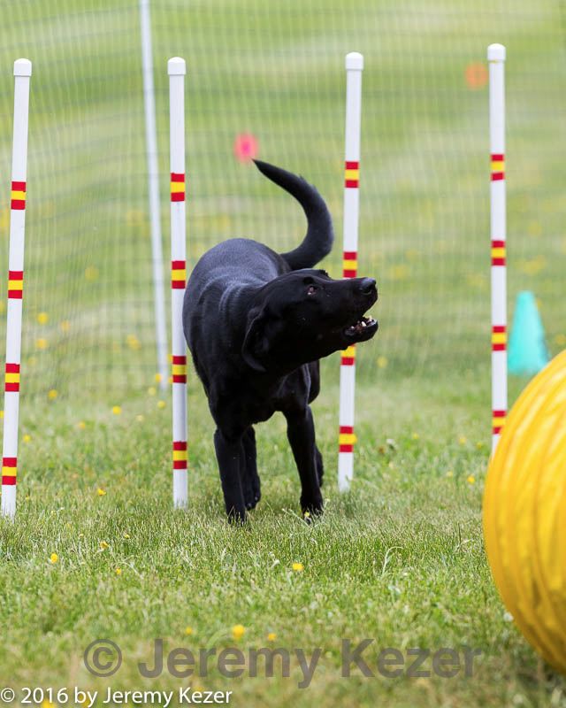 20160515-neat-0874.jpg