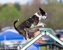 20160515-neat-0133