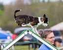 20160515-neat-0135