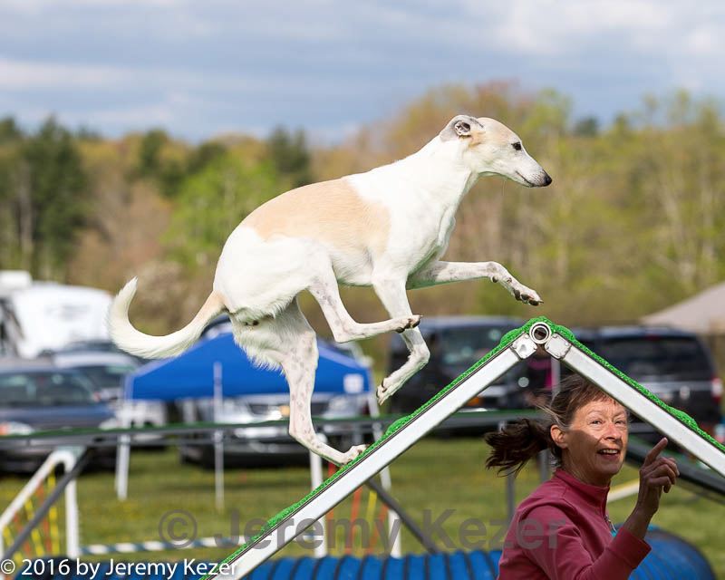 20160515-neat-0097.jpg