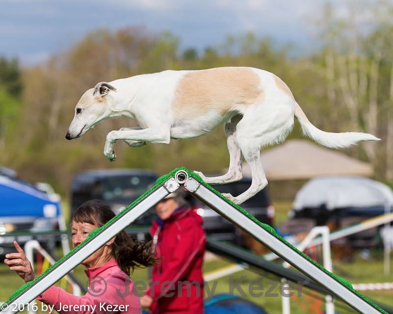 20160515-neat-0104.jpg