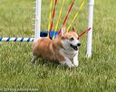 20160515-neat-1439