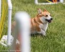 20160515-neat-1441
