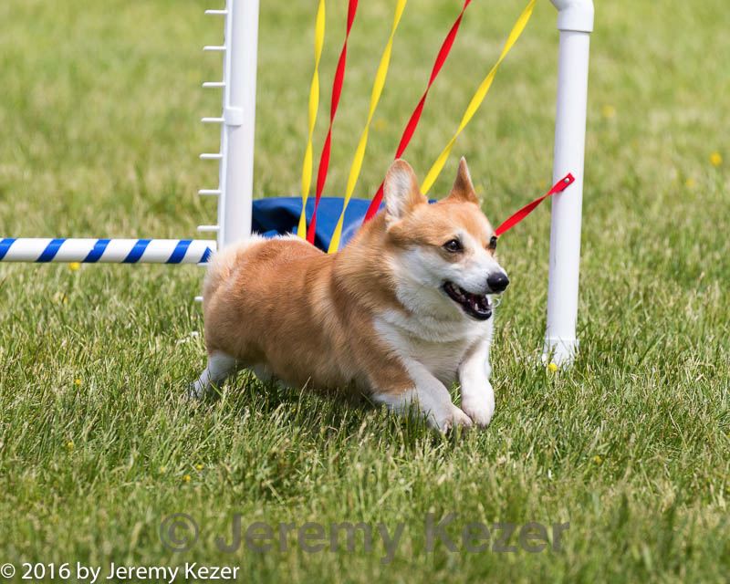 20160515-neat-1439.jpg