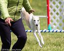 20160515-neat-1426