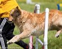 20160515-neat-1398