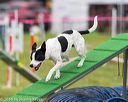 20160515-neat-0635