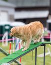20160515-neat-0539