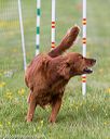 20160515-neat-0596