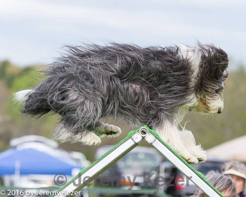 20160515-neat-0147.jpg
