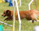 20160515-neat-1541