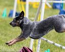 20160515-neat-1527