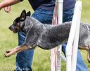 20160515-neat-1529