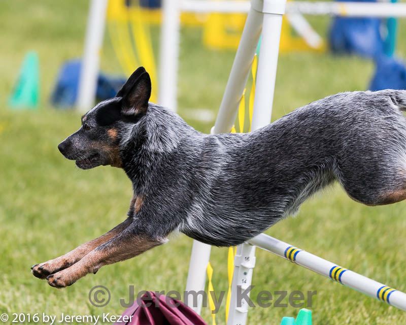 20160515-neat-1527.jpg