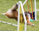 20160515-neat-1232