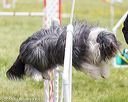 20160515-neat-1204