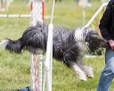20160515-neat-1205