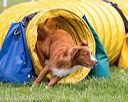 20160515-neat-0777