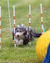20160515-neat-0703