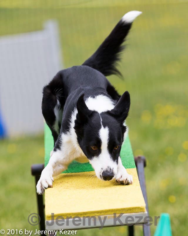 20160515-neat-0679.jpg
