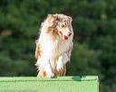 20160618-cckc-2440