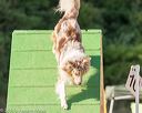 20160618-cckc-2445