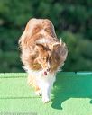 20160618-cckc-2454