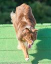 20160618-cckc-2457