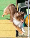 20160618-cckc-2459