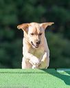 20160618-cckc-2465