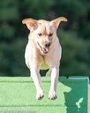 20160618-cckc-2466
