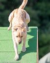 20160618-cckc-2468