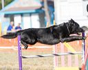20160618-cckc-2489