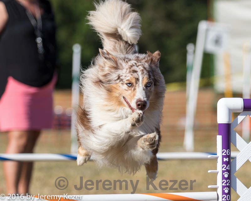 20160618-cckc-2449.jpg