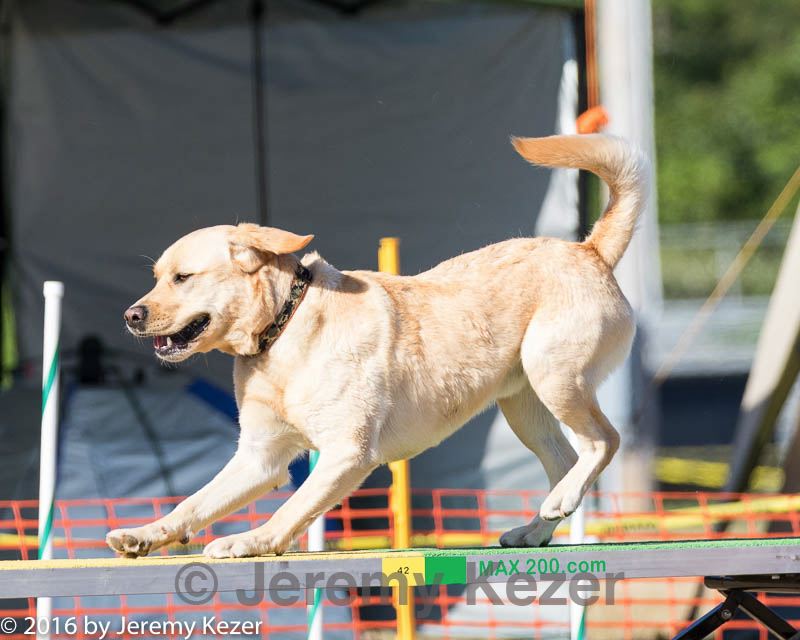 20160618-cckc-2463.jpg