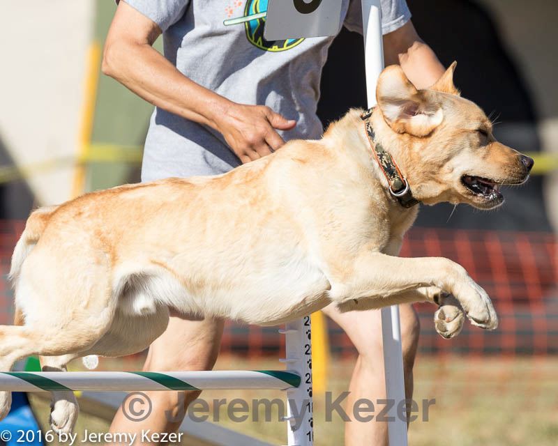 20160618-cckc-2474.jpg