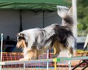 20160618-cckc-2402