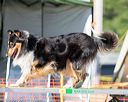 20160618-cckc-2420