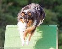 20160618-cckc-2422
