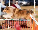 20160618-cckc-2427