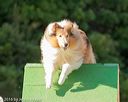 20160618-cckc-2430