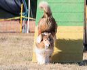 20160618-cckc-2436