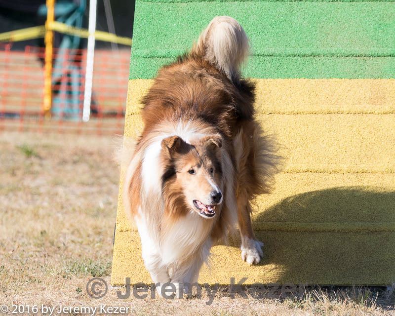 20160618-cckc-2437.jpg