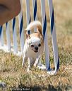20160618-cckc-2098